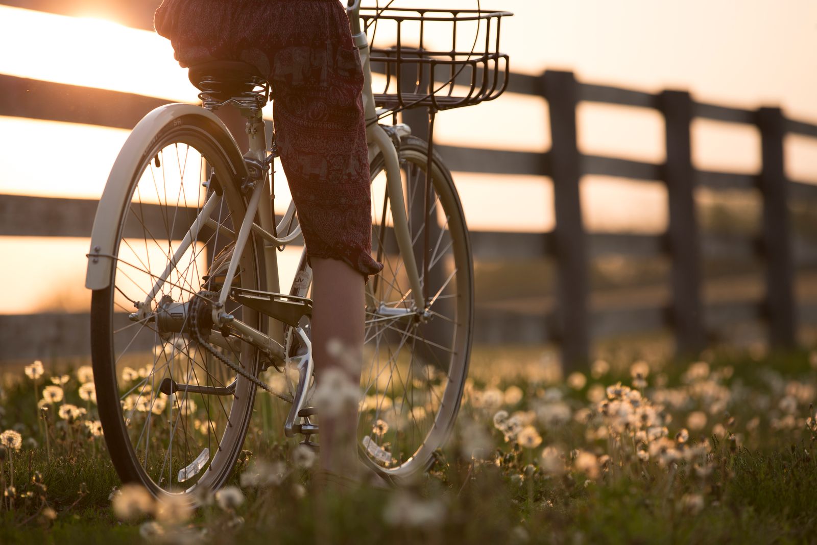 Radfahrer auf offener Strecke Richtung Wachau